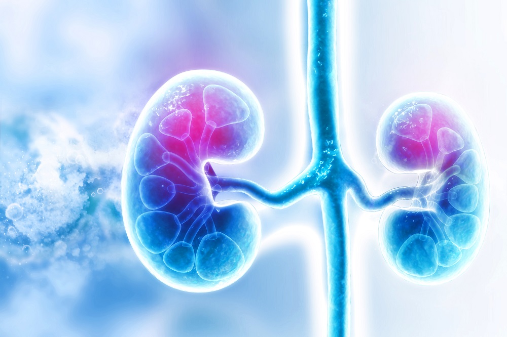 SyonClinic's tweet photo. How often do you stop to consider your kidney health? Our 5 top tips show just how easy it is to look after these vital organs. Read more here https://t.co/3mcdJEngkP https://t.co/jRsp3XlX5Z