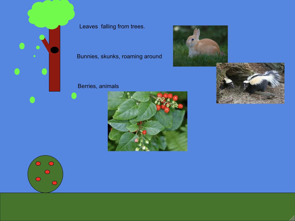 Scott Mckenzie Our Class Is Writing Haiku Poetry With Minecraft And Drawings