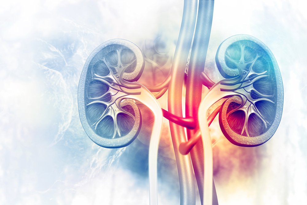 OmniaMed (@omniameduk) on Twitter photo 3 Million people in the UK have Chronic kidney disease. Join us on the 7 May where <a href="/drkevinfernando/">Kevin Fernando</a> will be speaking on the management of chronic kidney disease in primary care.
chronicconditions.co.uk
#kidneydisease #chronicconditionsmonth #primrarycare 3 Million people in the UK have Chronic kidney disease. Join us on the 7 May where <a href="/drkevinfernando/">Kevin Fernando</a> will be speaking on the management of chronic kidney disease in primary care.
chronicconditions.co.uk
#kidneydisease #chronicconditionsmonth #primrarycare