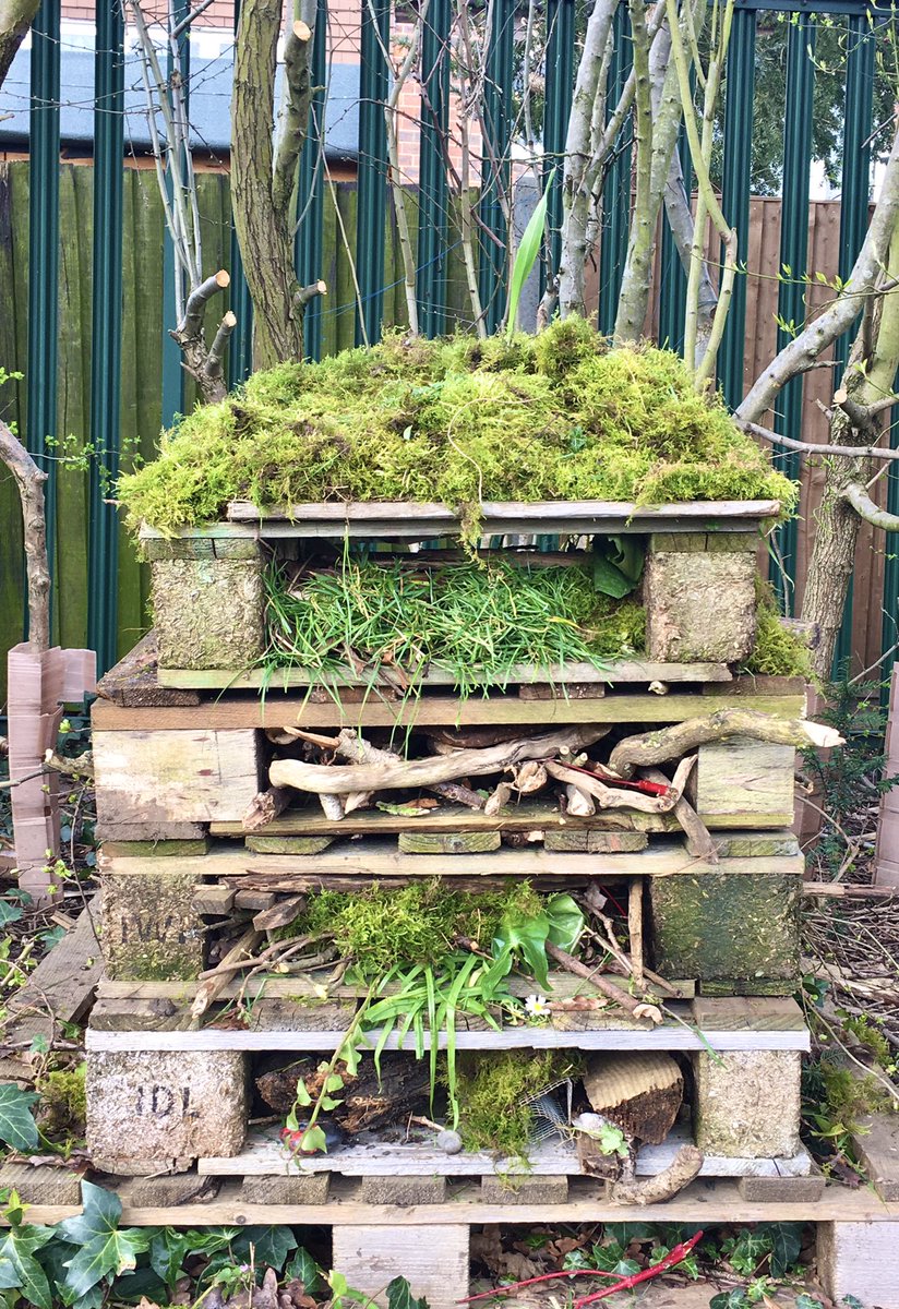mikelake7668's tweet image. @Garden_Ninja please give a shout out to my @NET_WHC year 4 class who followed your guide and built a class ‘Bug Hotel’. They will be adding personalised stones to the bottom layer soon. Thank you!