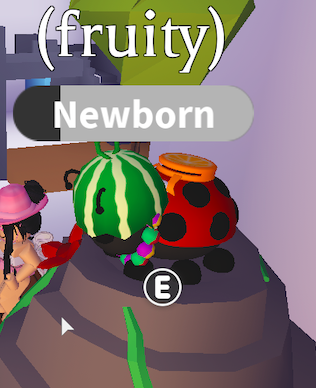 L0V3ANN's tweet image. say hi to fruity!! user Kat_321 #SharingAdoptMe