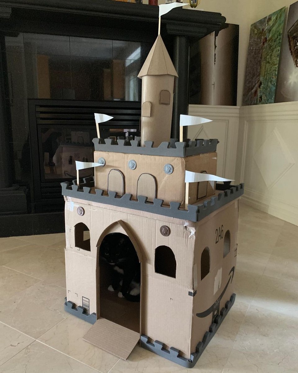 Chandansahoo378's tweet image. #PledgeToReuse @amazonIN