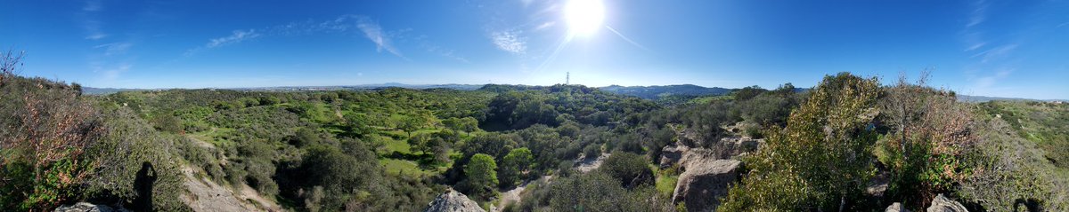 FSUSD HR tweet media