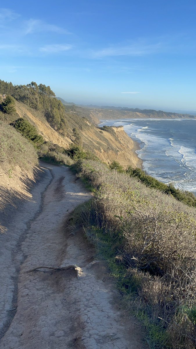 FSUSD HR tweet media