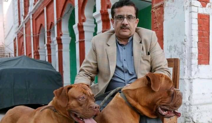 voiceofyoth's tweet photo. नीचे दिए गए फोटो में आपको कितने कुत्ते
नज़र आ रहे हैं ..?  रिप्लाई फ़ास्ट 🤔 https://t.co/3Ow7PGB4BK