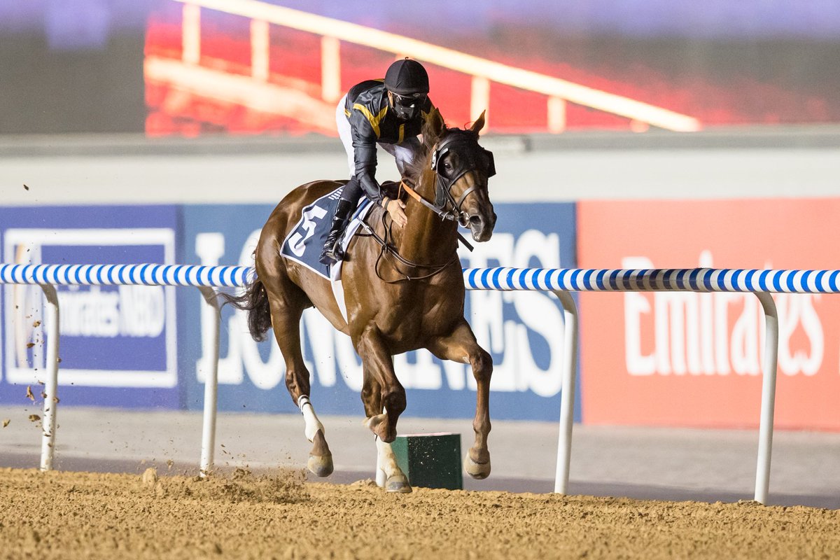 RacingDubai's tweet image. تفوق " مشاكل " في انتزاع لقب الشوط الرابع الرئيسي برعاية " مينا من عزيزي " لمسافة 1600 متر بقيادة الفارس زافير زياني وإشراف المدرب سالم بن غدير 

#MeydanRacing #TryDifferent @AziziGroup