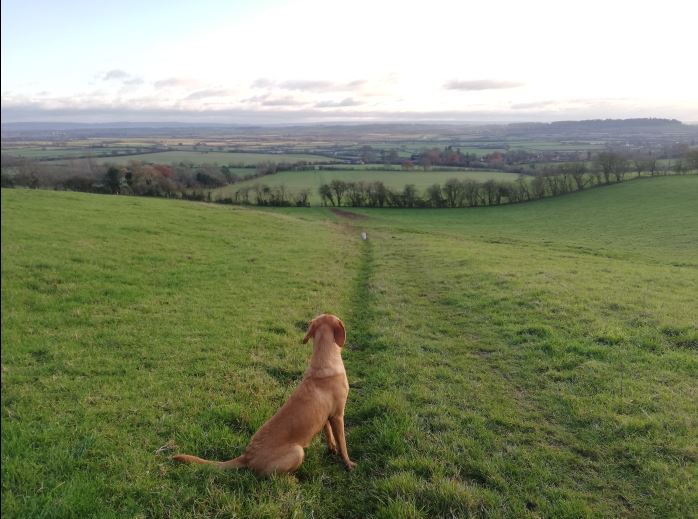 BHT.HRBESTPRACTICE tweet media