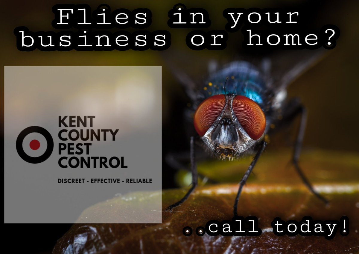 Kent County Pest Control (KC_Pest_Control) Twitter