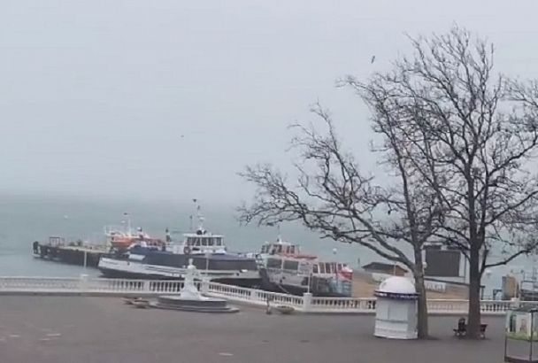 Почему в геленджике сильные ветра. Деревья в геленджике. Почему в геленджике сильные ветра. Сильный ветер в геленджике. Сильные ветра в геленджике название.