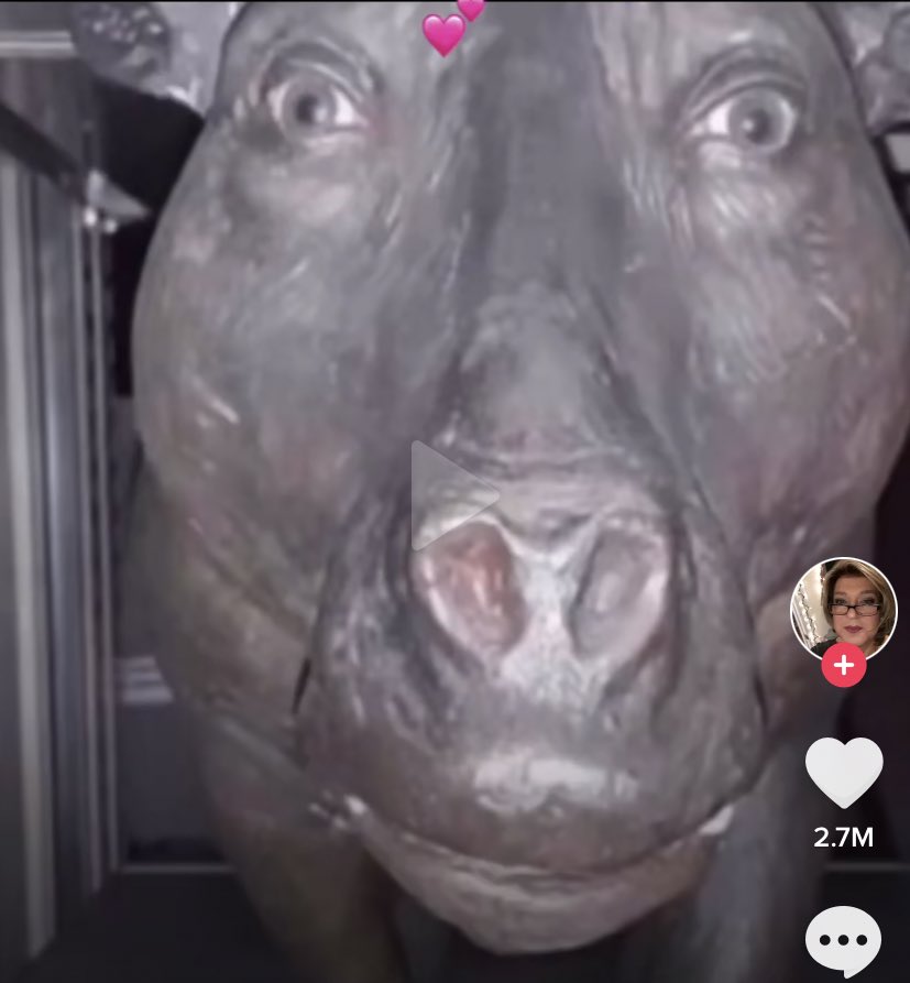 Desert Chimps 🐒 tweet media