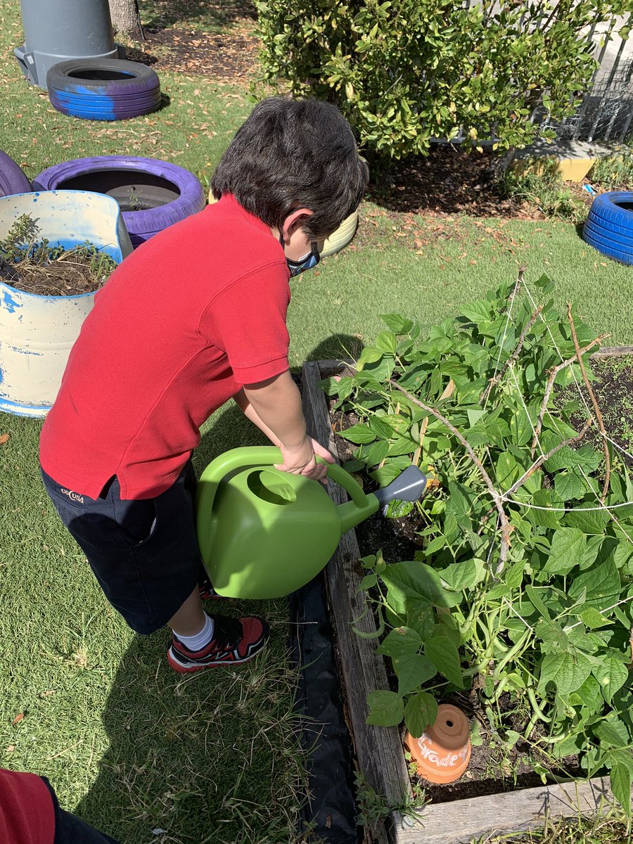 palms_west's tweet photo. 1st grade enjoyed Spaghetti squash they grew in the garden #palmswestcharter #csusaproud #WhereGreatHappens  #growingleaders  #oneteamonefight #homelearning https://t.co/xUXNboQB2f