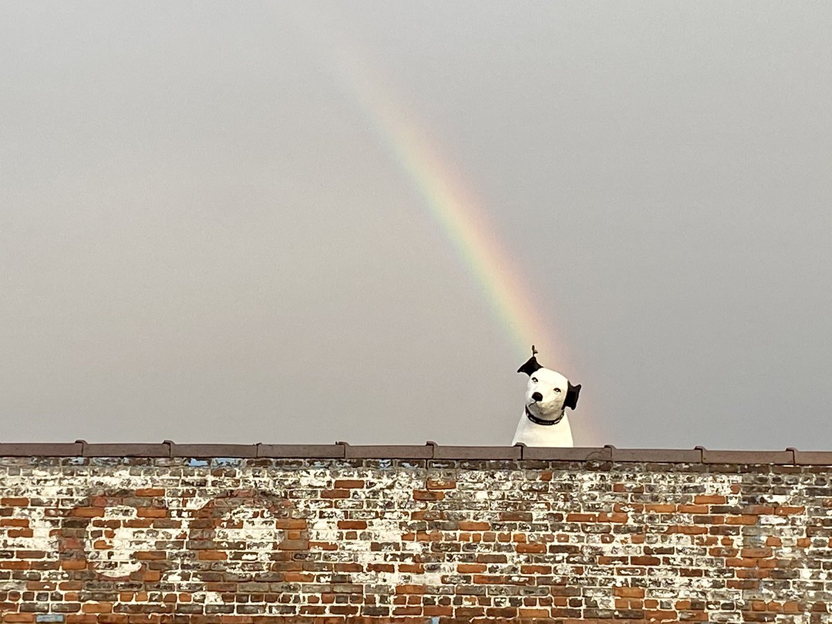 will waldron tweet media