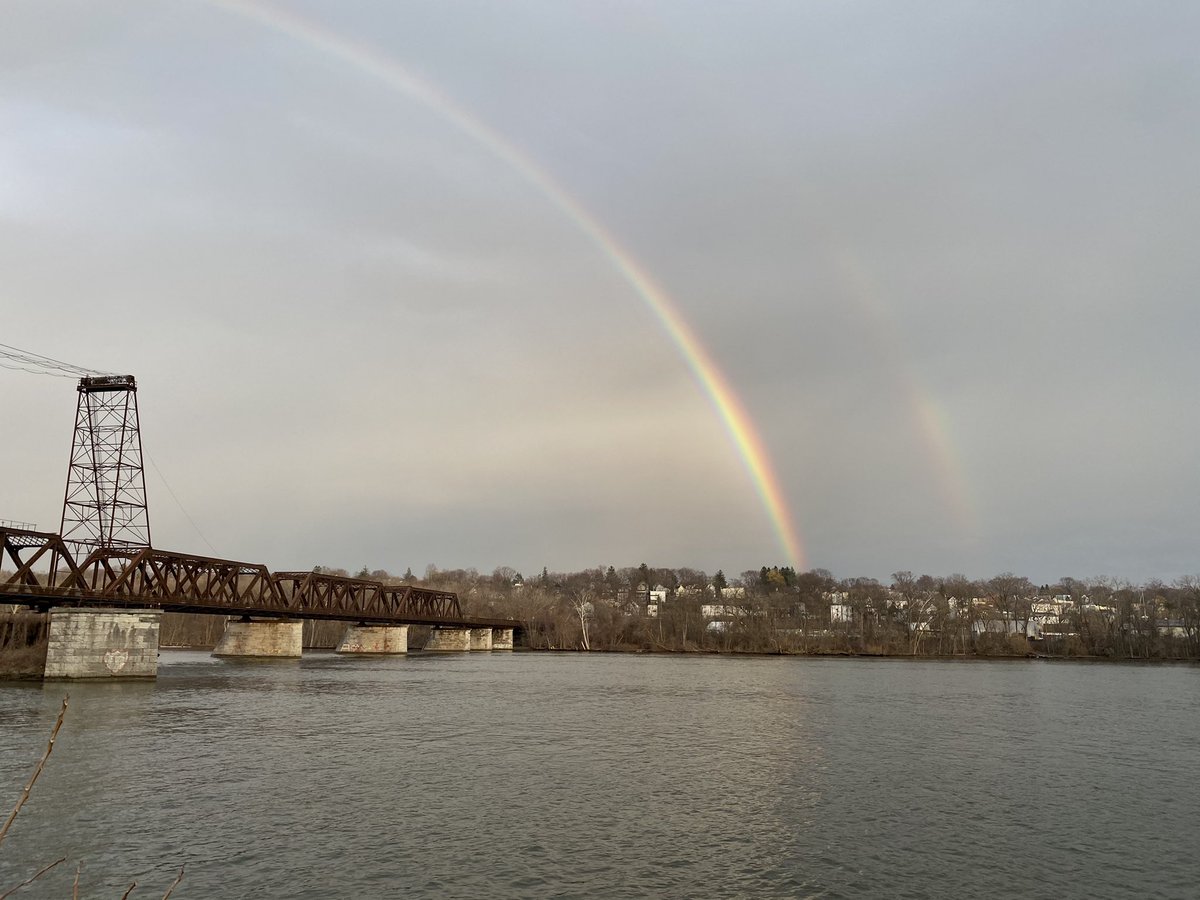 will waldron tweet media