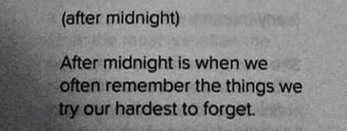 Miss Antropía tweet media