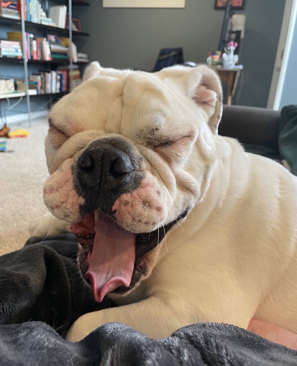 Is #TiredThursday a thing??