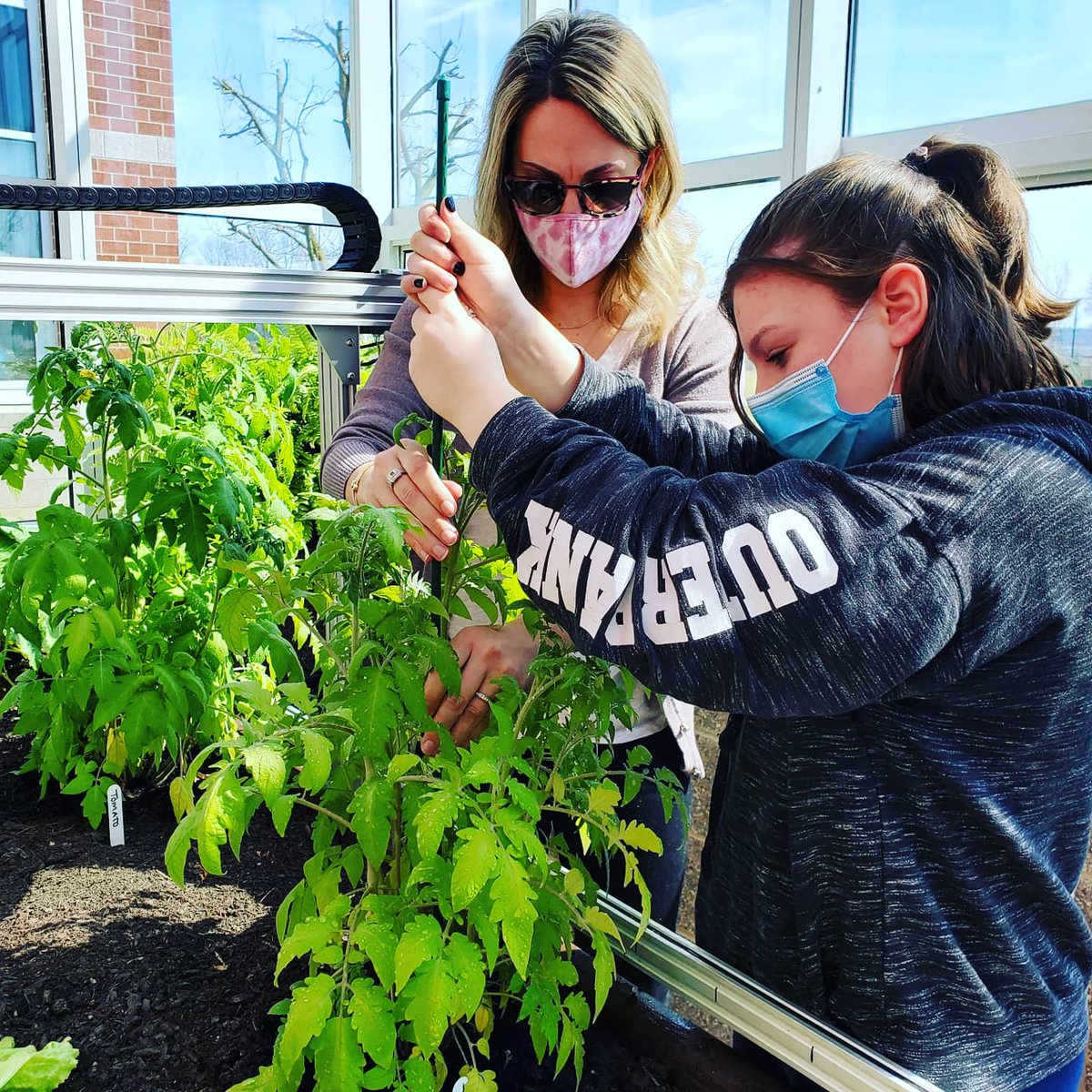 Spring is right around the corner!  Class in the greenhouse today. The #STEAM7 students harvested lettuce and also got flower seeds in the dirt at <a href="/HanoverMiddle/">Hanover Middle Sch</a>. 🌻  <a href="/HanoverPublic/">HanoverPublic</a> <a href="/farmbotio/">FarmBot</a> #studentspotlight #hpsdawesome #STEAMedu #edtech #agriculturalrobotics #happy