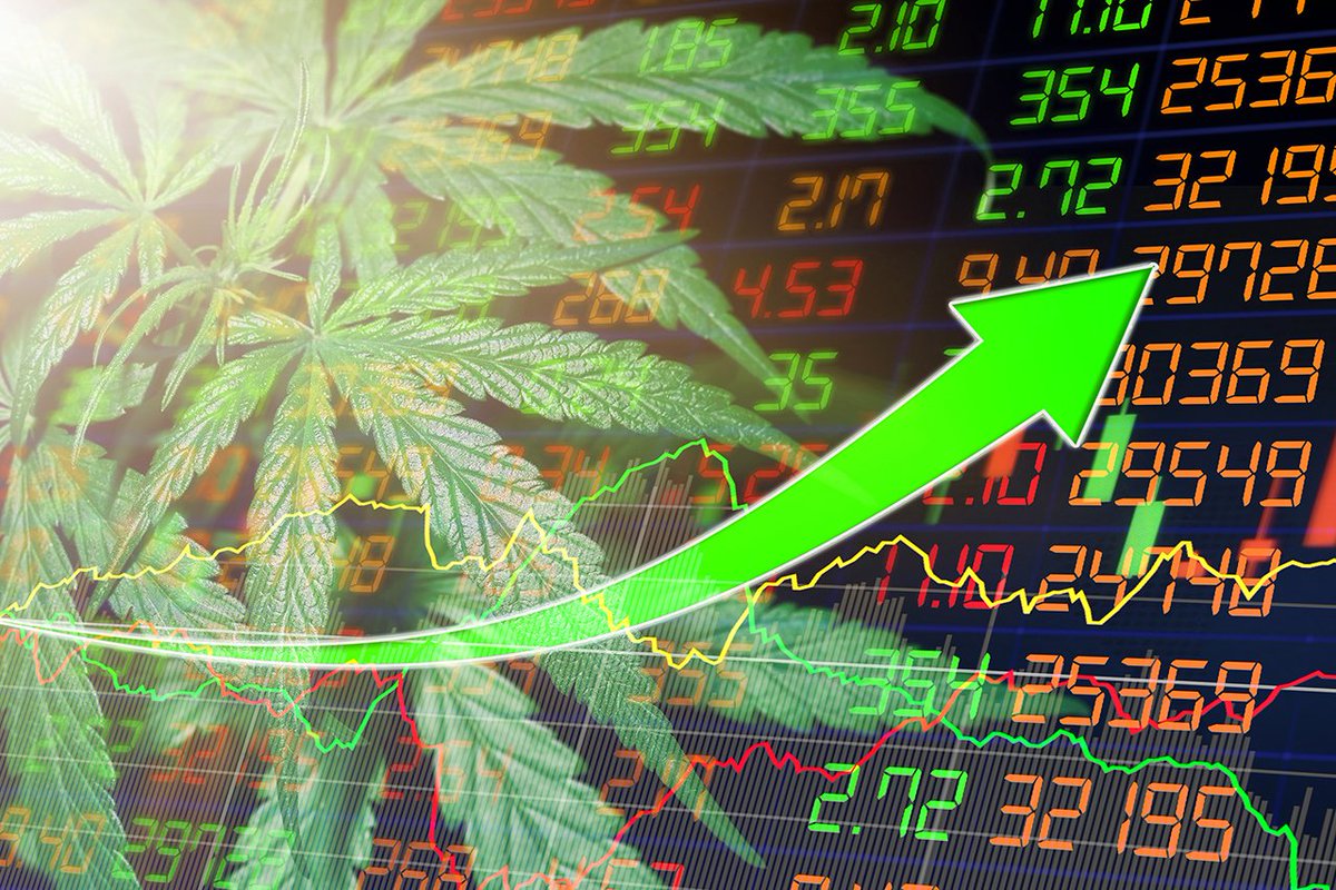 Citizen Stash Cannabis Corp. tweet media