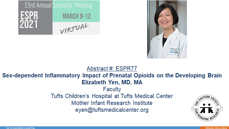 Praveen (@chandrpk) on Twitter photo <a href="/ESPR/">espen røise</a> next up a good friend & colleague Dr. Yen @yenelizabethmd @ YI presentations <a href="/BGoilav/">Beatrice Goilav, MD</a> <a href="/DrMoBro/">Meredith Monaco-Brown</a> <a href="/jayasreenairneo/">Jayasree</a> <a href="/NICUBatman/">Shetal Shah</a> <a href="/munmun_rawat/">Munmun Rawat</a> <a href="/MausmaBawa/">Mausma Bawa</a> #ESPR2021 <a href="/ESPR/">espen røise</a> next up a good friend & colleague Dr. Yen @yenelizabethmd @ YI presentations <a href="/BGoilav/">Beatrice Goilav, MD</a> <a href="/DrMoBro/">Meredith Monaco-Brown</a> <a href="/jayasreenairneo/">Jayasree</a> <a href="/NICUBatman/">Shetal Shah</a> <a href="/munmun_rawat/">Munmun Rawat</a> <a href="/MausmaBawa/">Mausma Bawa</a> #ESPR2021