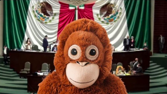 thesmallestboy's tweet photo. bienbenido al mundo de las mariwanas, méxico https://t.co/4i6uic9jjg
