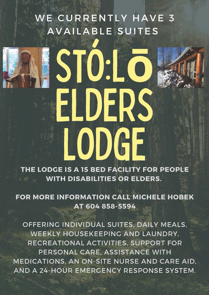 Stolo Service Agency tweet media