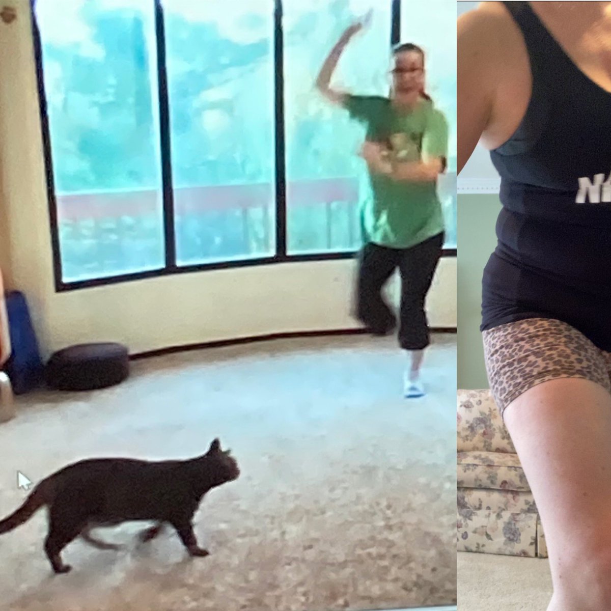 LouBonomi's tweet image. Had the pleasure of doing Virtual Zumba with @my_hive_away and I must say I got my sweat on &amp;amp; had a great time. She gives first class free . I urge you to give it a whirl ! Go to her page to find link. #zumba #getyoursweaton