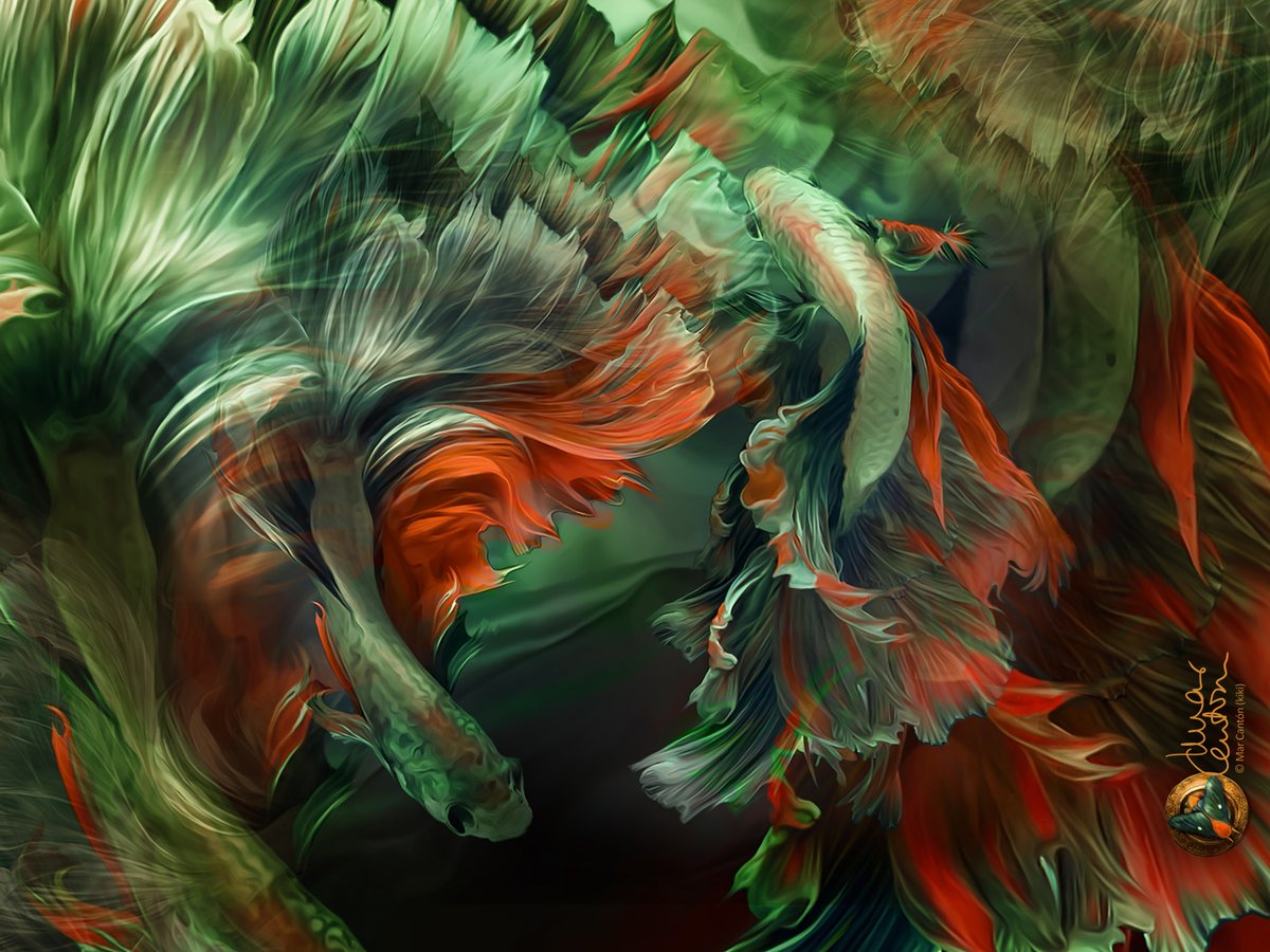 MarMarejadilla's tweet photo. "Betta splendens Deep water (Siam fighter)"
by ©Mar Cantón
► #society6 ►https://t.co/lAohEuSVT3
#marcanton #fighters #splendens #digitalart #painting #collage #art #Tropical #betta #nature #fish #aquarism @Society6Art
@Society6max @society6 @BeautifulBzarre https://t.co/fhzq824ZYI