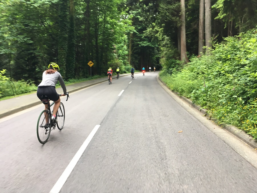 ParkBoard's tweet photo. #VanParkBoard has directed staff to implement a temporary bike path on Park Drive in Stanley Park for 2021. People will still be able to visit by car. Staff will work with stakeholders & coordinate with emergency services before implementing. More info at https://t.co/oXgoKLfpb7 https://t.co/Qz9gFSzTBq