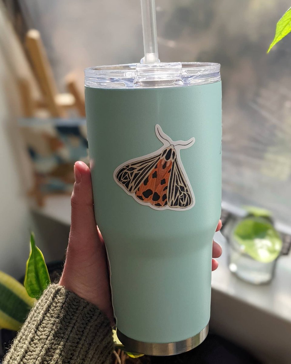 ChloeWillemsen's tweet photo. @_macey23 Technically a moth but close enough 🤷🏻‍♀️ https://t.co/sSoMaGcwJA