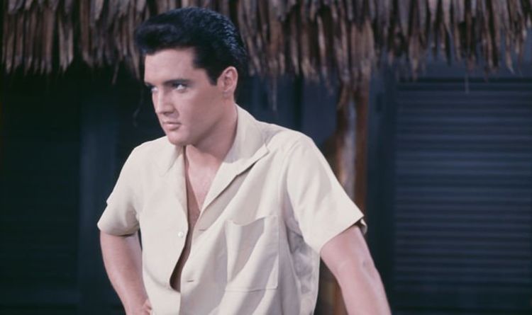 Elvis Presley’s pet monkey drank whiskey and pulled up women’s skirts - Express dlvr.it/RvRXkQ  - - - -#Elvis