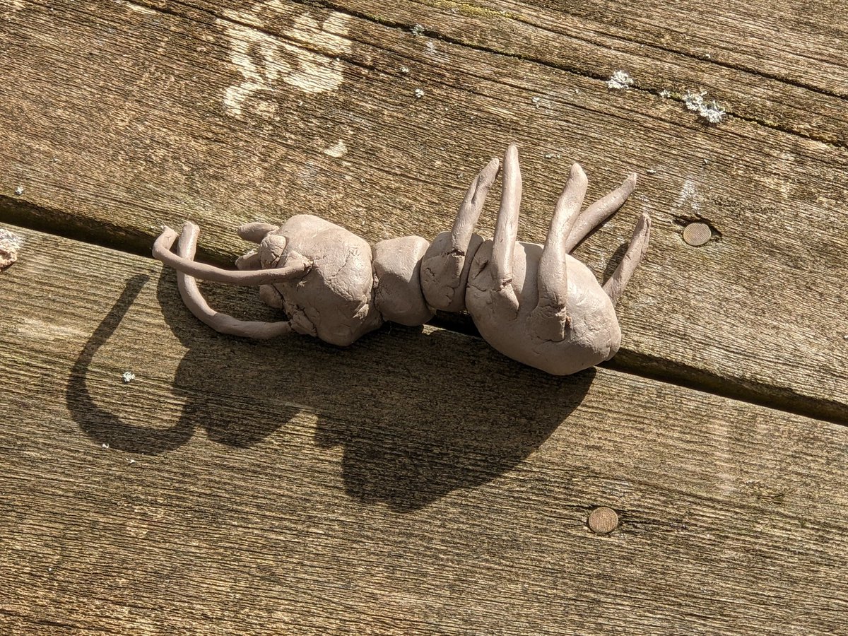 Red Kite Class tweet media