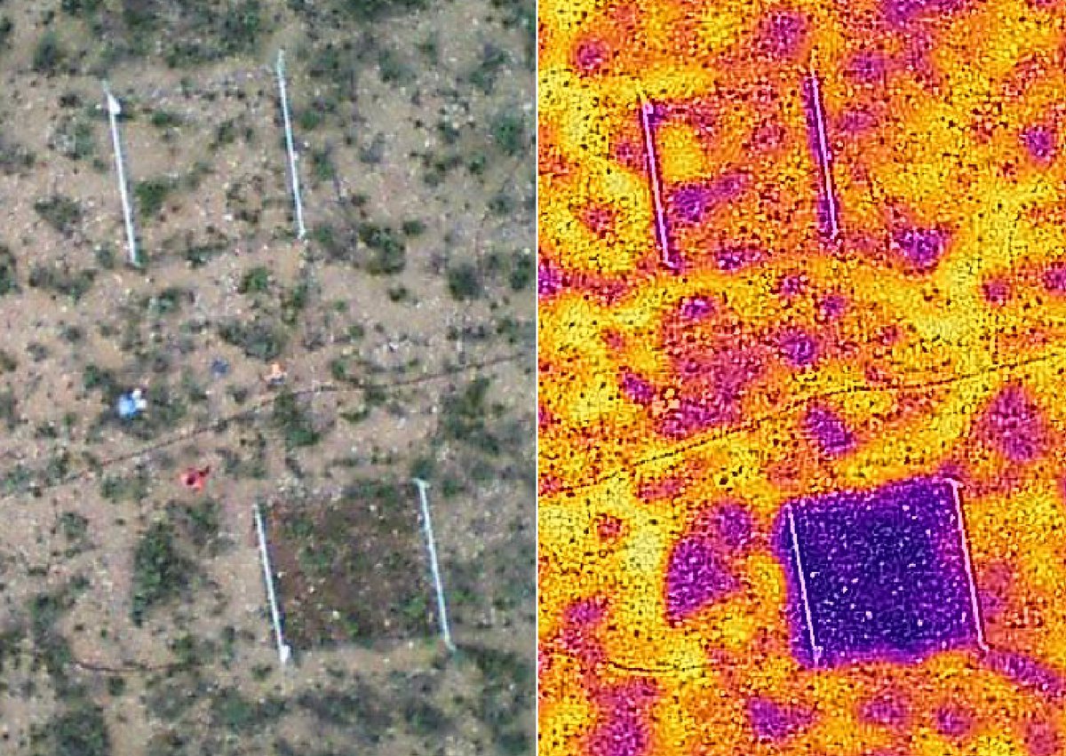 Adam West (@adamgwest) on Twitter photo Our paper on plasticity vs conservatism of fynbos and renosterveld shrublands to rainfall seasonality is just out. Product of collaboration with <a href="/NCCEnviron/">NCC Environmental Services</a> <a href="/DrieKuilen/">Drie Kuilen NatRes</a> <a href="/ACCESSCOE/">ACCESS Secretariat</a> and years of hard work from PhD student Justin van Blerk 👏👏👏 doi.org/10.1111/nph.17… <a href="/ResAltwegg/">Res Altwegg</a> Our paper on plasticity vs conservatism of fynbos and renosterveld shrublands to rainfall seasonality is just out. Product of collaboration with <a href="/NCCEnviron/">NCC Environmental Services</a> <a href="/DrieKuilen/">Drie Kuilen NatRes</a> <a href="/ACCESSCOE/">ACCESS Secretariat</a> and years of hard work from PhD student Justin van Blerk 👏👏👏 doi.org/10.1111/nph.17… <a href="/ResAltwegg/">Res Altwegg</a>