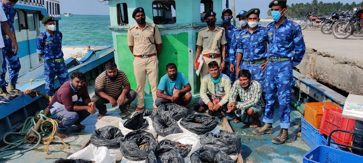 DrDamodharAtIFS's tweet photo. LAKSHAWEEP FOREST DEPARTMENT BURSTED A MASSIVE INTER STATE, INTERNATIONAL #SEA CUCUMBER #POACHERS RACKET with the seizure of #486 Dead Sea Cucumbers worth approx. 5.45 crore and 2 Big Fishing Boats, arrested 7 poachers from TN, KR, Delhi, WB &amp; Lakshaweep @moefcc @PrakashJavdekar https://t.co/Z1aJDVY2J2