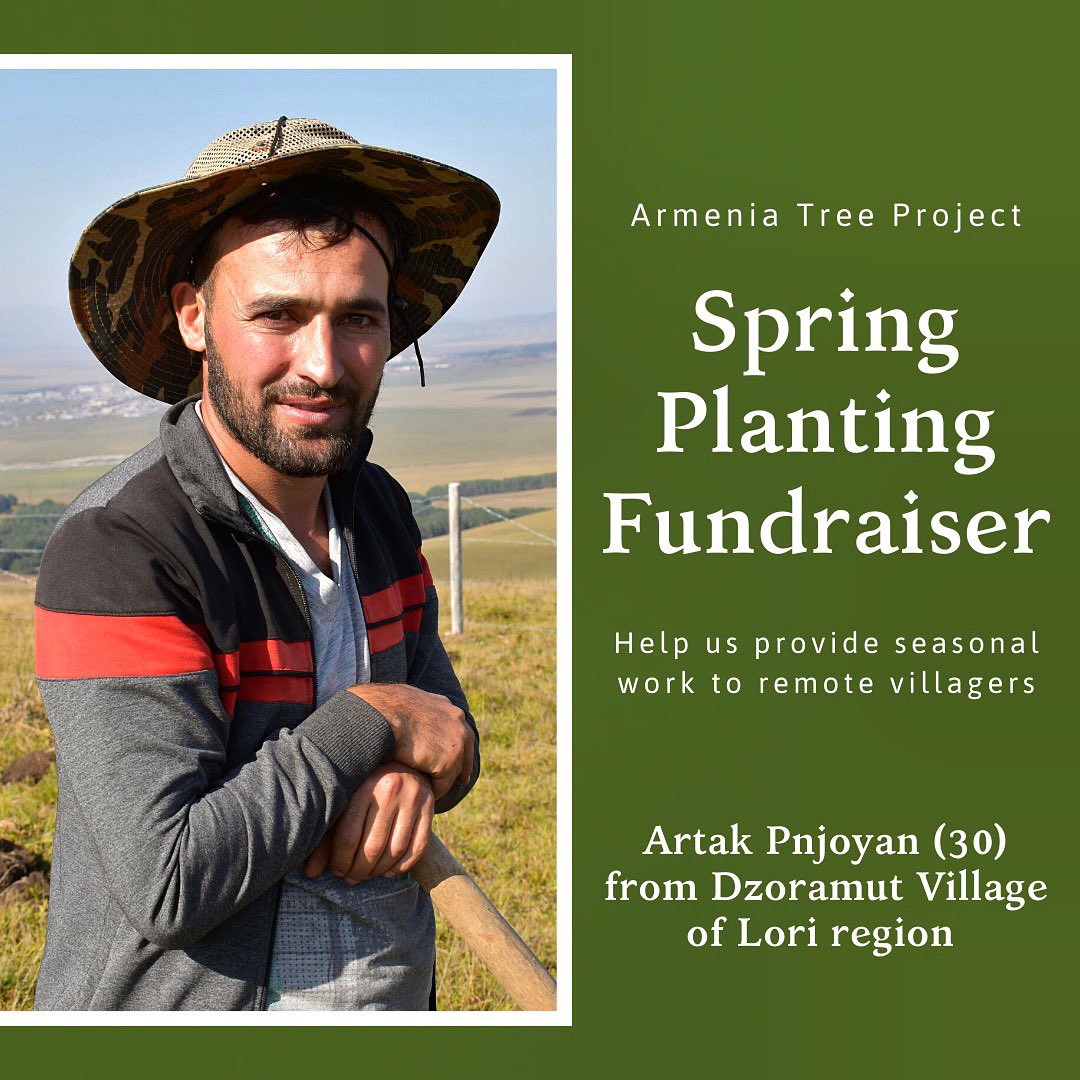 Armenia Tree Project tweet media