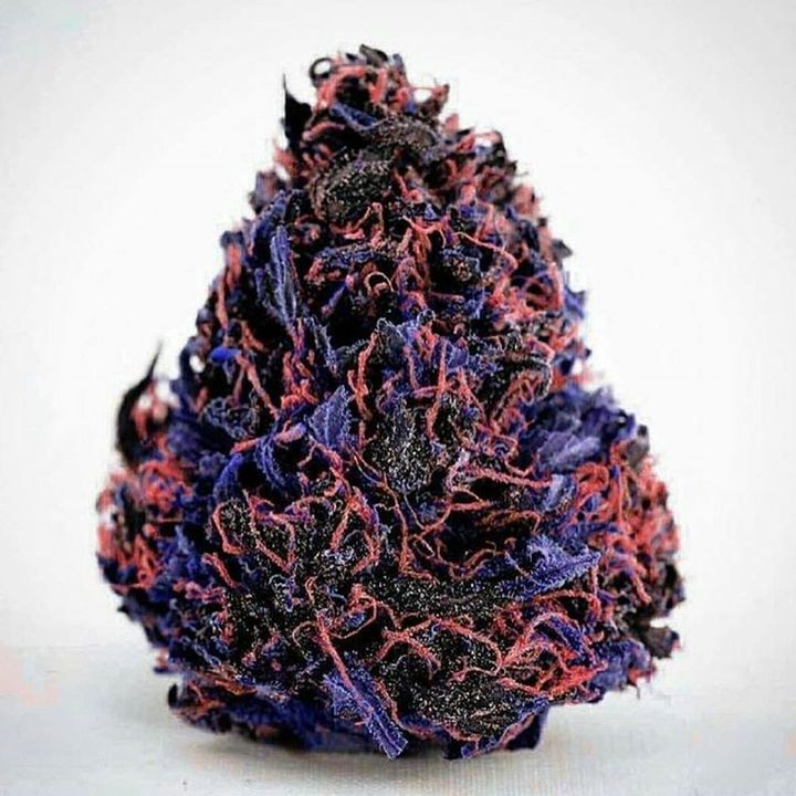 CannabisTrainU's tweet photo. What would you name this strain?

https://t.co/L2QpHpf4PC

#straingame #strainname #strain #dispensary #cannabis #marijuana https://t.co/eESSjDSl6A