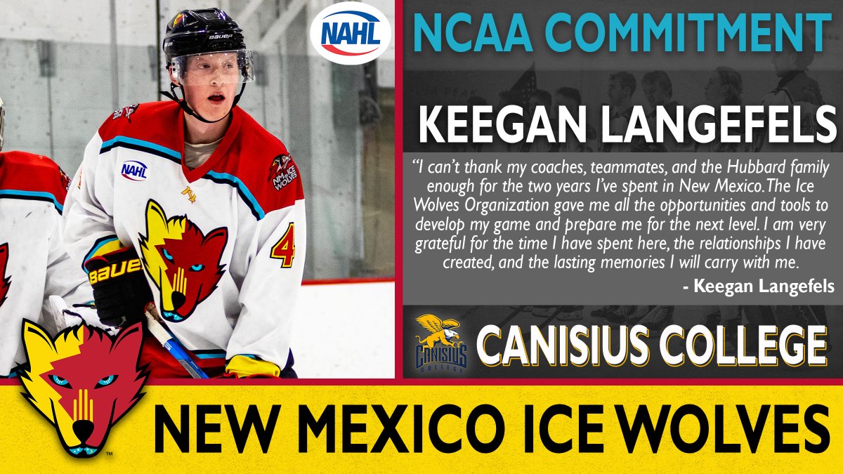 new mexico ice wolves jersey