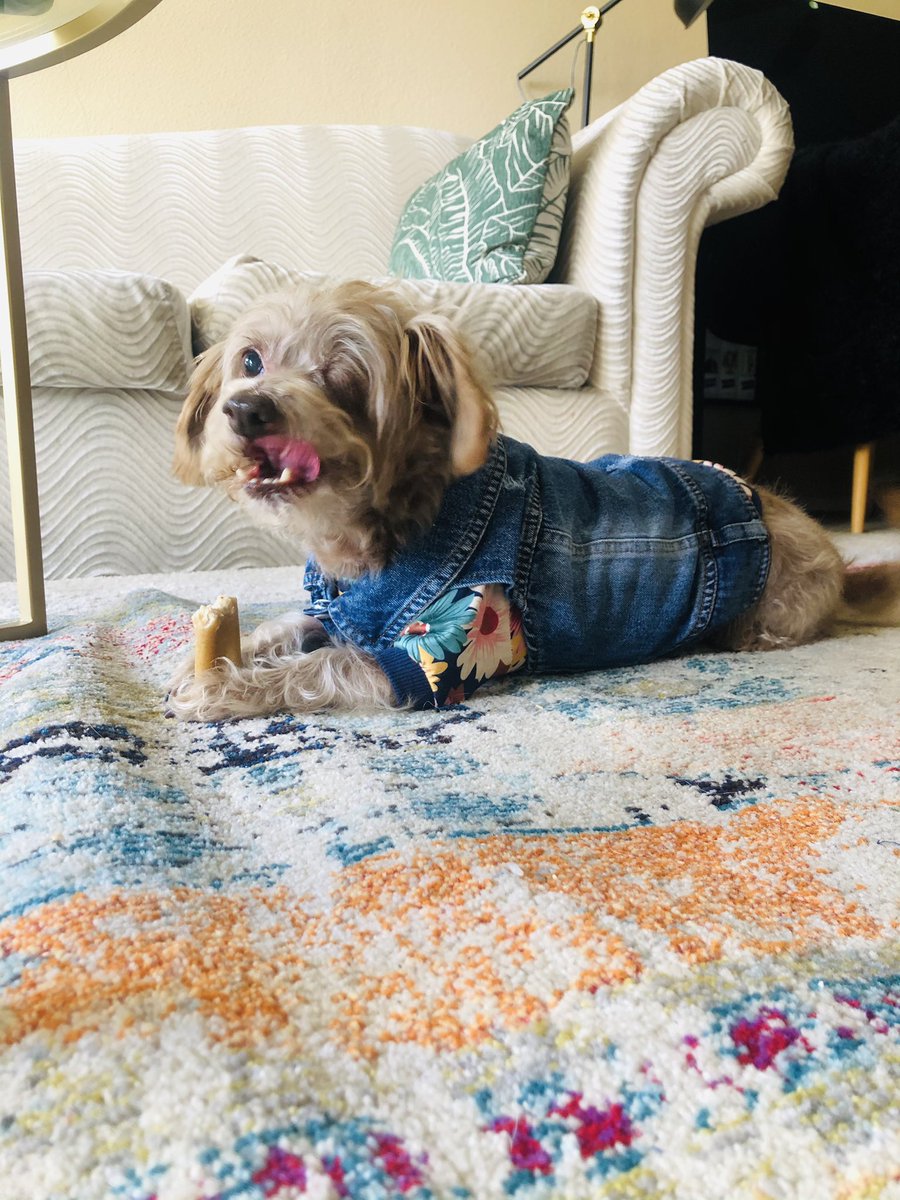 snack &amp; study day for us..