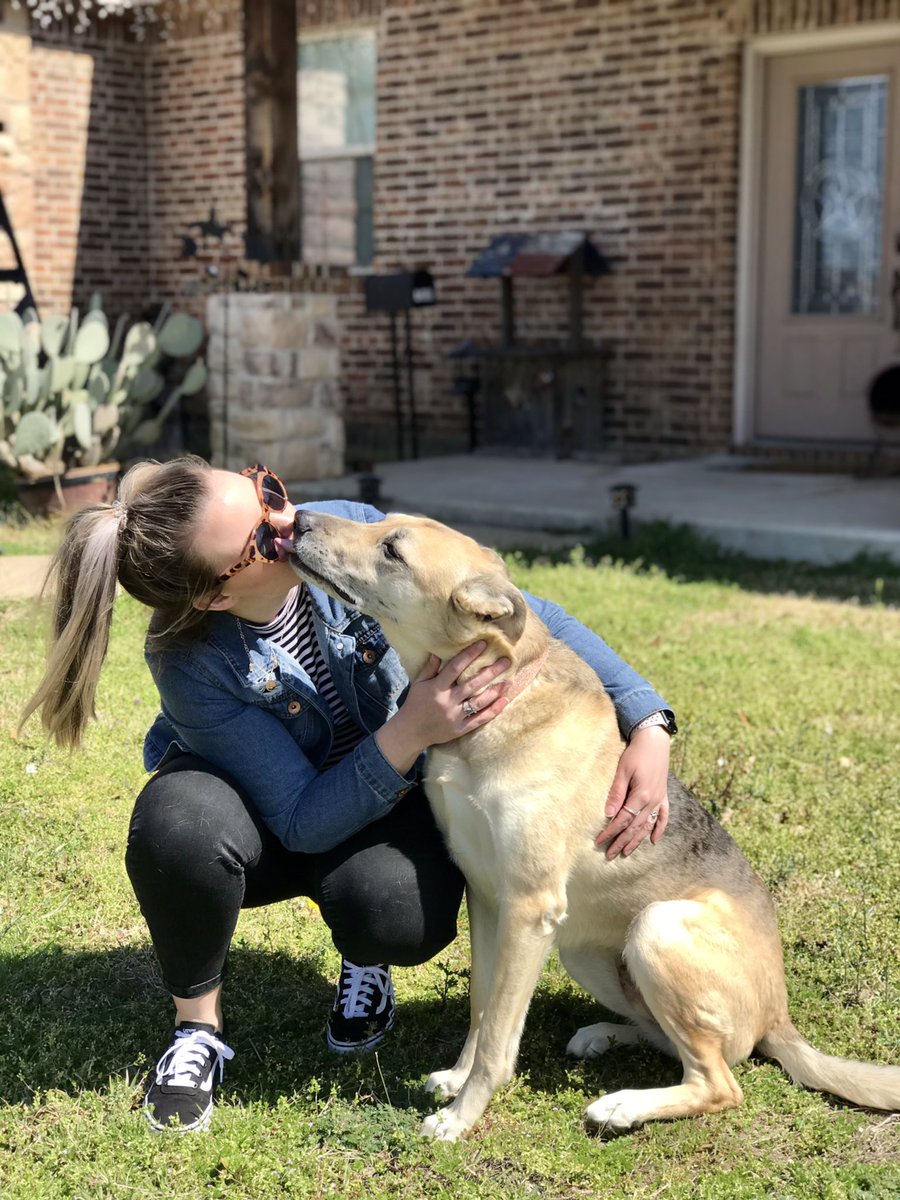 brittrenay's tweet photo. goodest girl💗 https://t.co/YFd1YEIhhU
