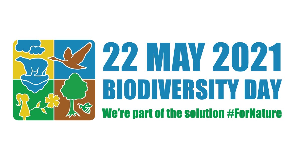 ‼️ #BREAKING: We're pleased to announce the theme of #BiodiversityDay 2021!

🐞🦀🦊🐠🌳🦠️🦚️🐳🐌👣

The theme is "We're part of the solution #ForNature", underscoring that we can all be powerful agents of positive change for people &amp; planet.

More info: cbd.int/biodiversity-d…