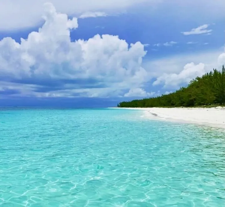 Who's up for a swim? 🏊

This blog post by <a href="/Darenseeyah/">derencia ✨</a> tells you about the 6 best beaches around the island of New Providence. 

Check it out and let us know which beach is your favourite.

explorethebahamas.com/2021/03/six-po…