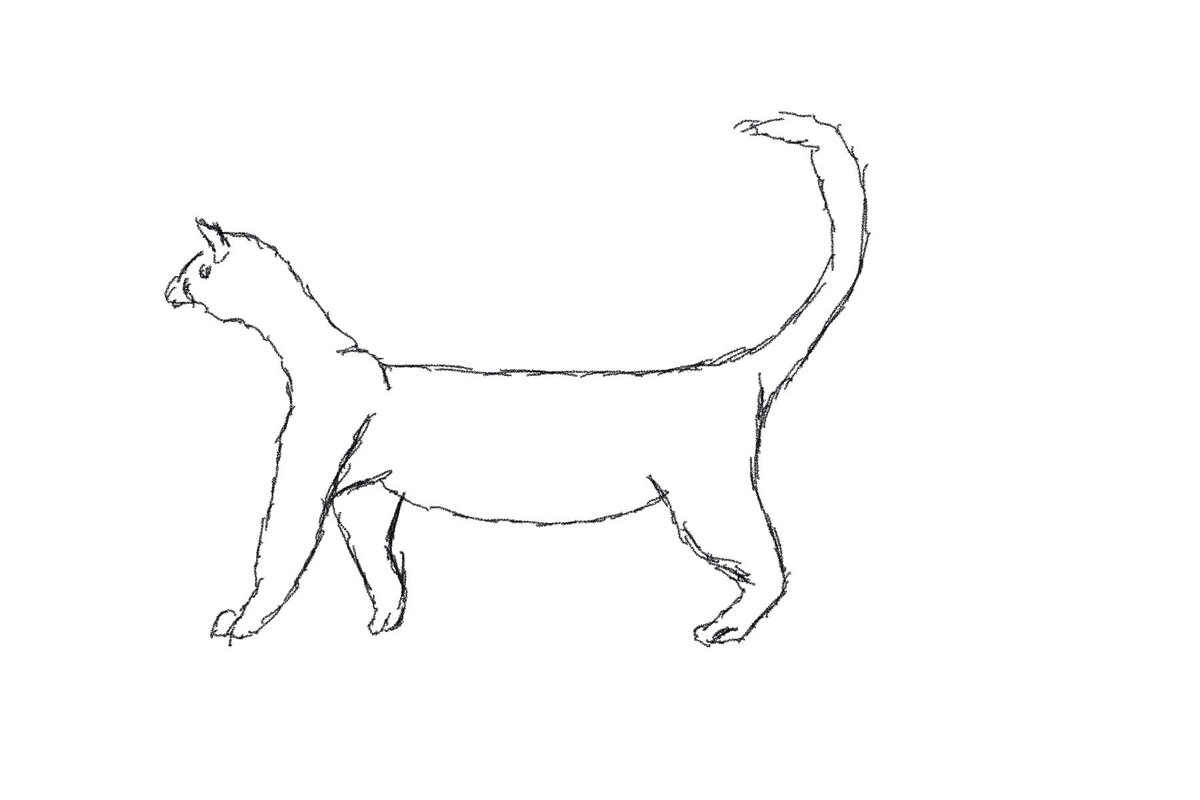 rebootingme's tweet photo. #DailyDrawingForMarch Day 11 different take on a cat. Cats are hard to draw https://t.co/4cr16KS0bE