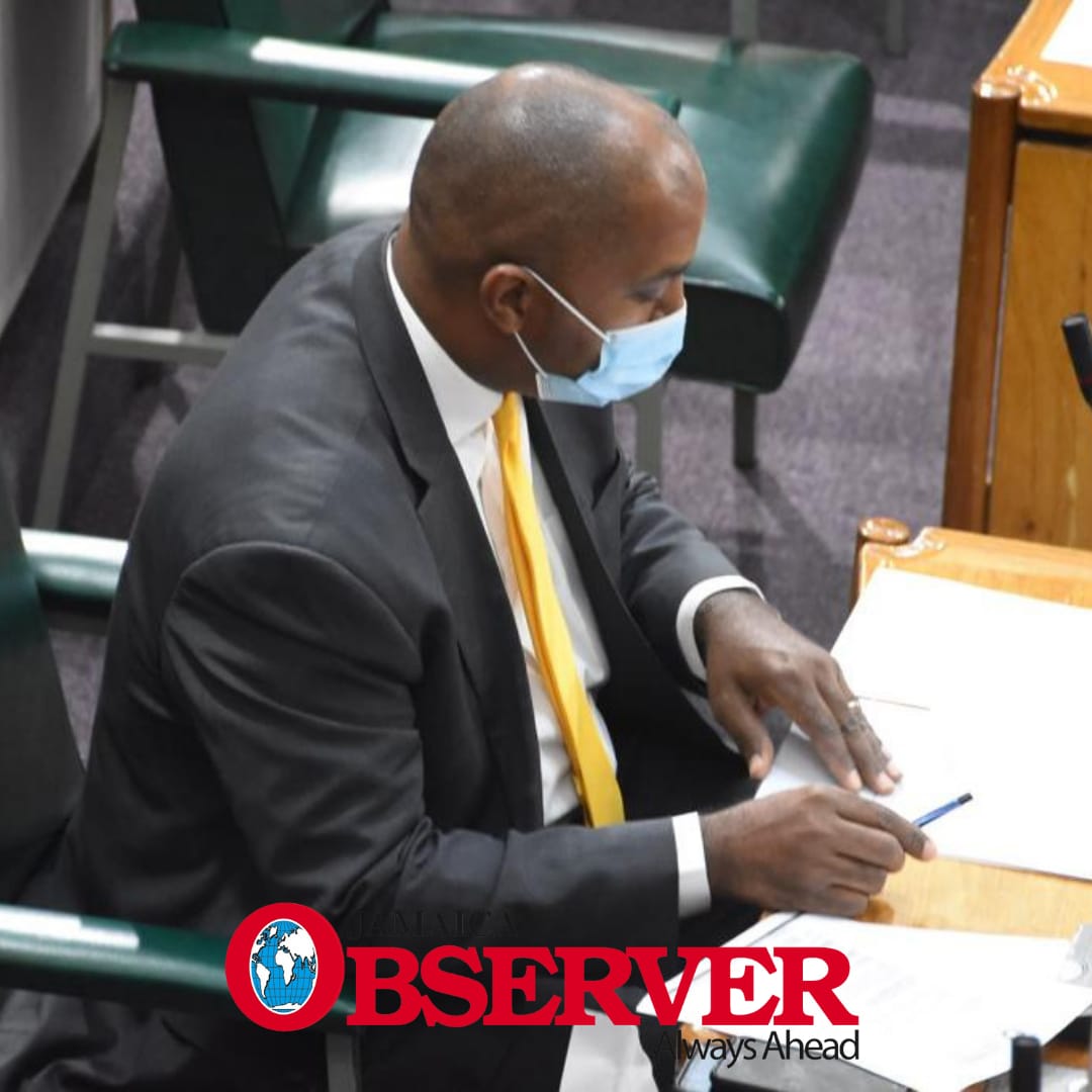 JamaicaObserver's tweet photo. Opposition Spokesman on Finance, Planning and the Public Service, Julian Robinson, will make his presentation shortly in the 2021/22 Budget Debate.
#Jamaica #BudgetDebates #JaBudgetDebate2021 #Budget2021 https://t.co/VdXDIYv2UQ