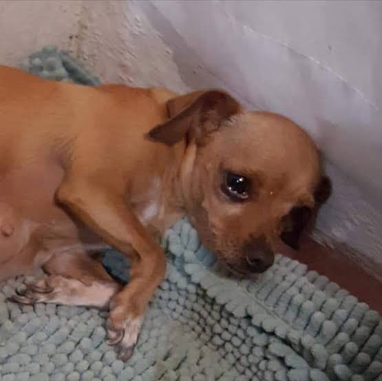 bonikhanz's tweet image. Kaige the whole time: 

#LoveIslandSA