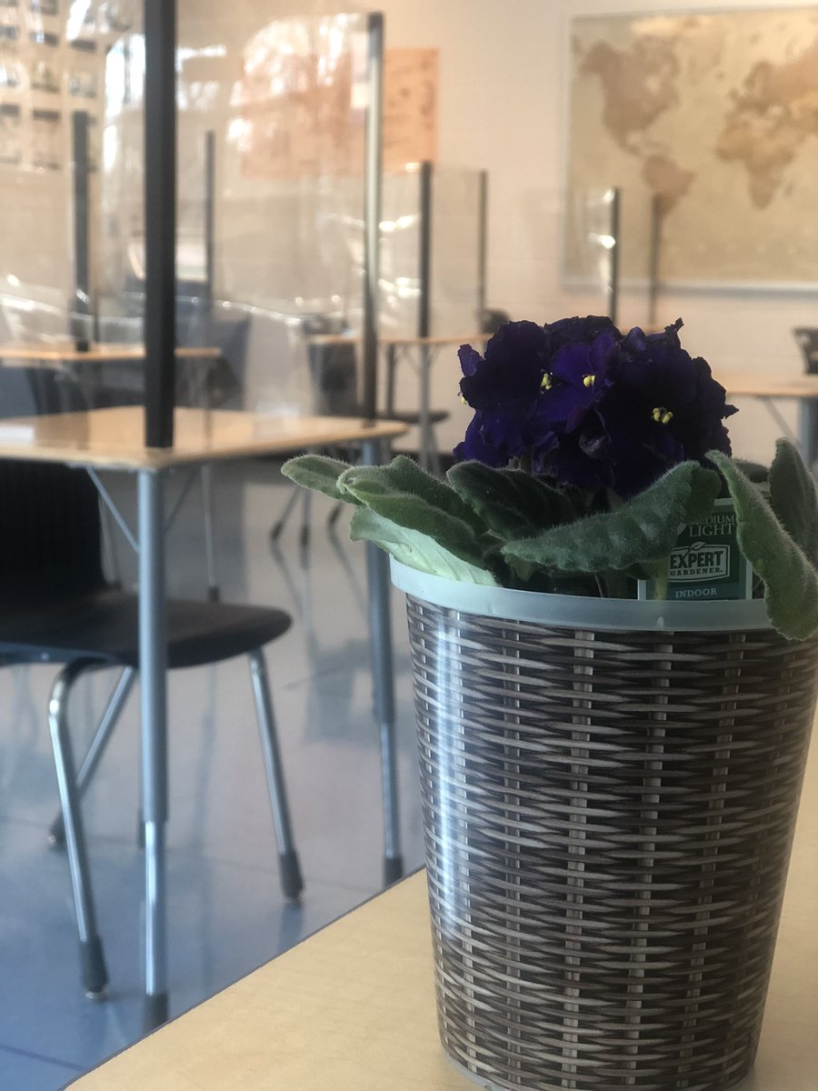 MrsF_Writes's tweet photo. Today a student ran up to me and said, “I have something for you!” He pulled this out of his backpack and handed it over with glitter in his eyes. He said, “I like being in class because I get to sit close to you.” This is his desk, 6 feet away from mine. I’ve missed this. 🍎 https://t.co/1fFYztE9U9