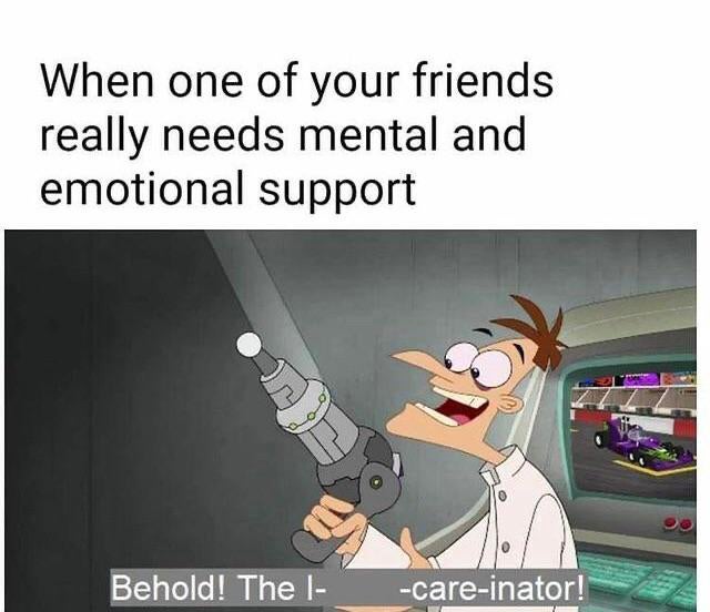 WholesomeMemes (@wholesomememe) on Twitter photo 