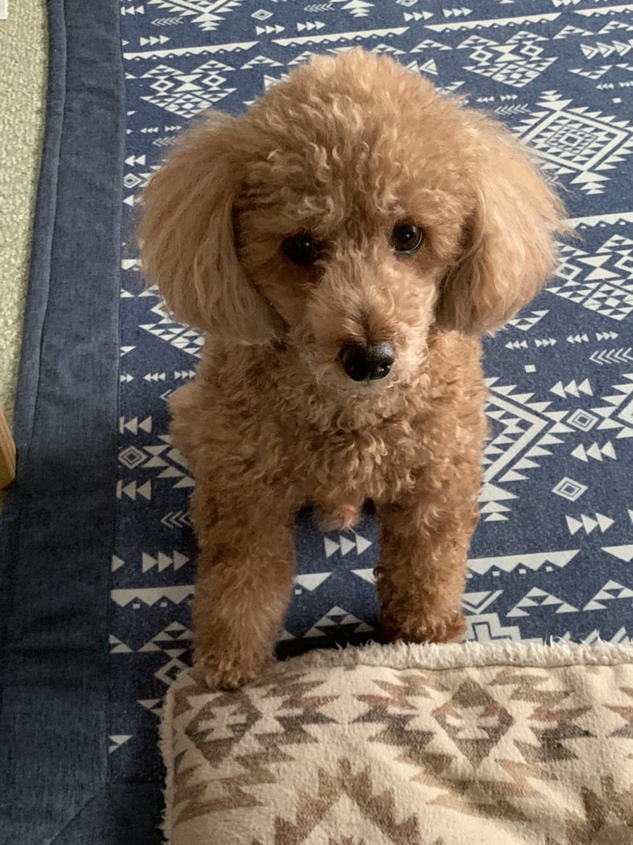 S Odybhmj7lk7vthr Twitter