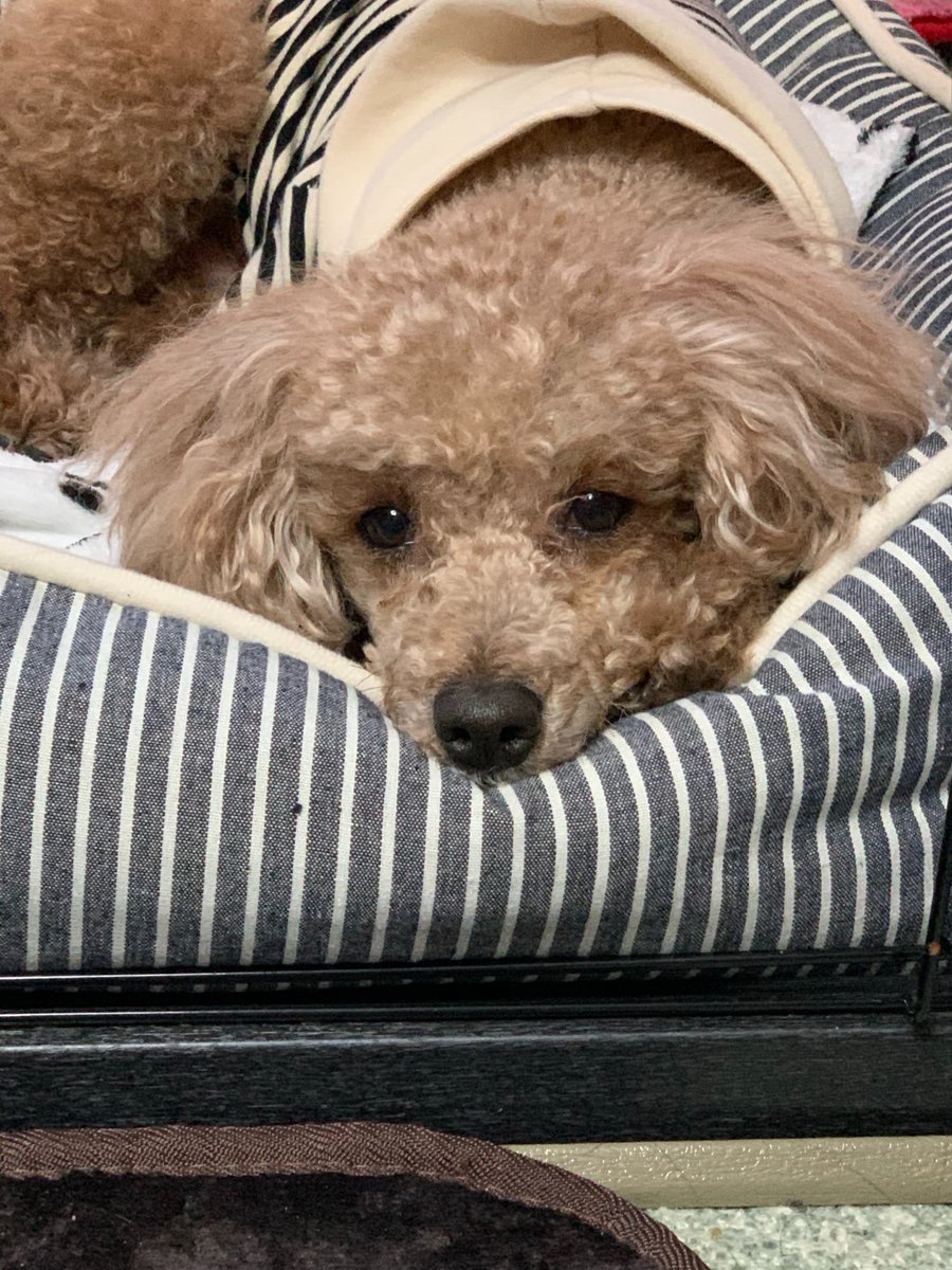 S Odybhmj7lk7vthr Twitter