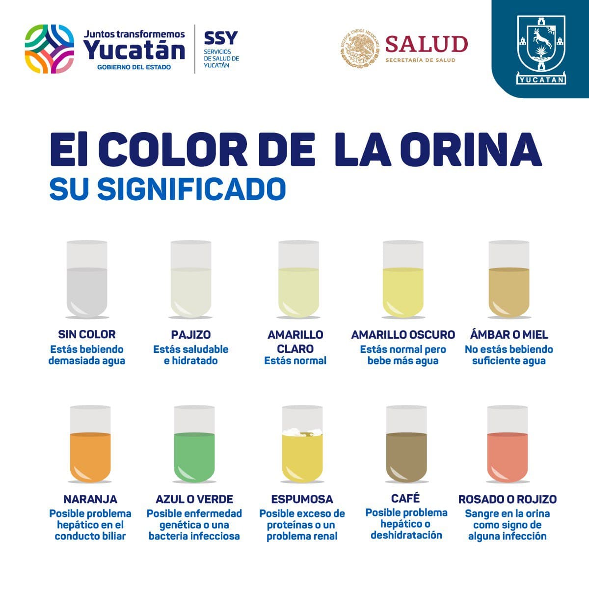 Geología Condición previa Autenticación orina color verde vamos a