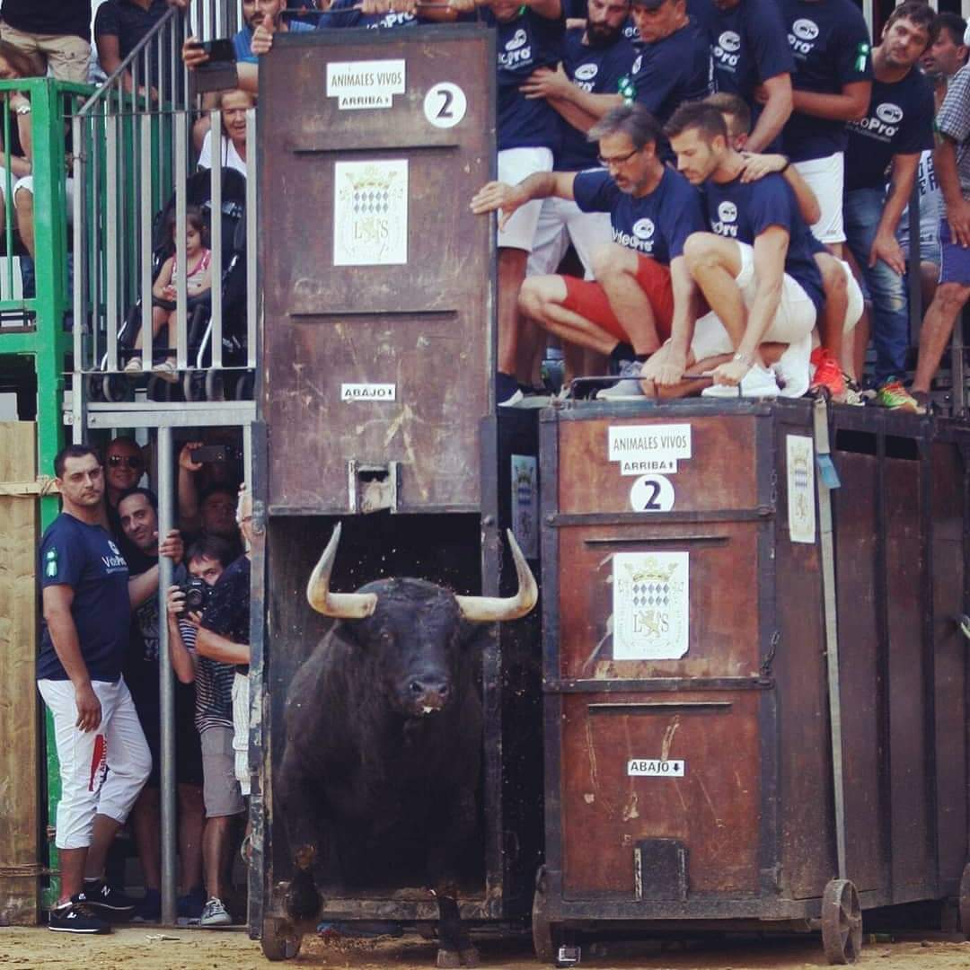 Nules (Castellón) 
Ohanes (Almería)
S.Jaume D'enveja (Tarrag)
Han sido los últimos Aytos en adherirse a la plataforma.
Este mes de marzo se lleva a pleno la adhesión en numerosas poblaciones de la geografía española.👏👏👏
#SomosCulturaPopular 

📸 P.T. Pernia y Compañia (Nules)