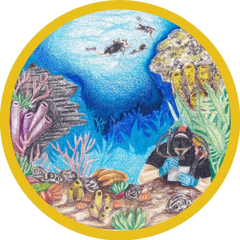 scotfishmuseum's tweet photo. Our Sea Change Exhibition opened in January 2020 but is now online! 

The exhibition identifies and addresses the burning issues facing the seas today and into the future, Perfect viewing if you are missing museums and celebrating @ScienceWeekUK #BSW21  https://t.co/bgAIaeIbeO https://t.co/fgnOlFZOaP
