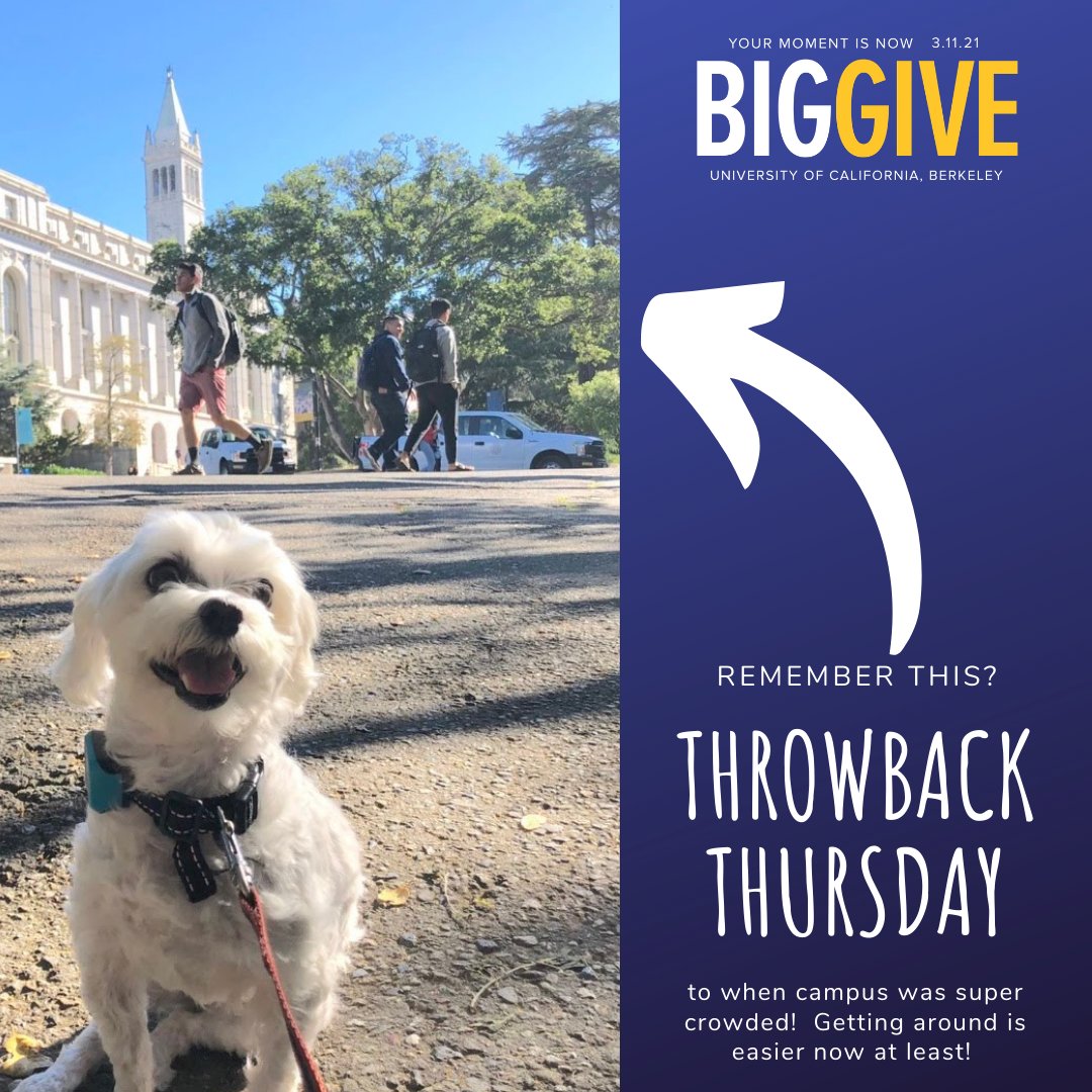 igematberkeley's tweet image. #TBT #igemberkeley #calbiggive bit.ly/igembiggive @UCBerkeley